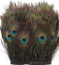 Load image into Gallery viewer, Peacock Eye Trim Fringe
