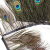 Peacock Eye Trim Fringe