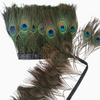 Peacock Eye Trim Fringe