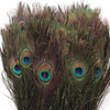 Peacock Eye Trim Fringe