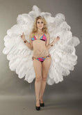 Load image into Gallery viewer, White Tribute 360 degree ostrich feather Backpiece - hotfans
