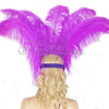 lavender Showgirl Open Face Ostrich feather Headdress.