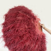 Abanico burlesco de plumas de avestruz rojo coral y burdeos de 4 capas, abierto a 67 pulgadas, con bolsa de viaje de cuero.