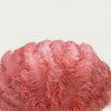 Abanico de plumas de avestruz rojo coral de 2 capas XL de 34&#39;&#39;x 60&#39;&#39; con bolsa de viaje de cuero.