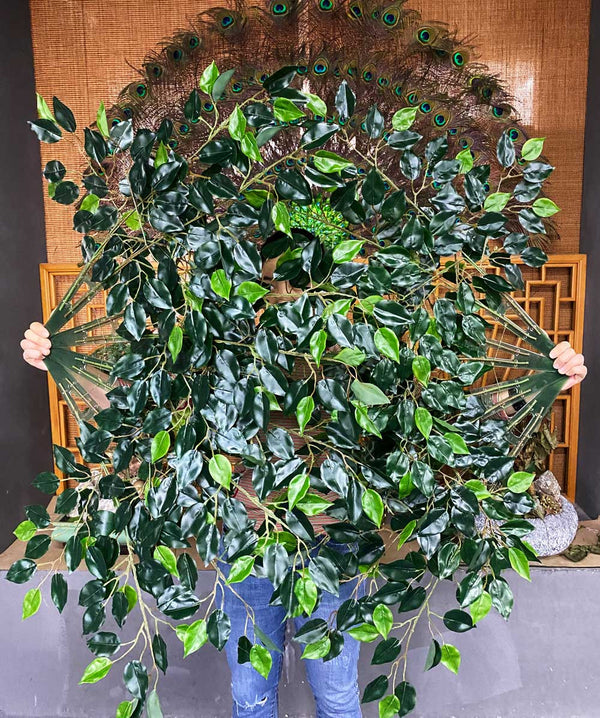 Ficus leaf fan.