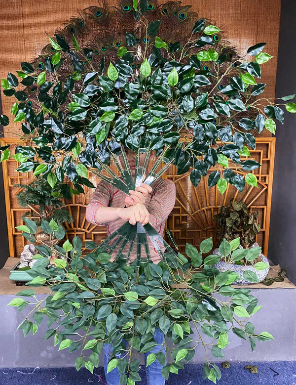 Ficus leaf fan.