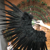 Black Marabou & Pheasant Feather Fan 29"x 53" with Travel leather Bag.