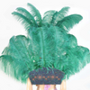 Forest Green Ostrich Feather Open Face Headdress & backpiece Set.