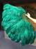 prodotti/Forest_green2.png