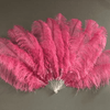 Abanico de plumas de avestruz fucsia de 2 capas de 30&quot;x 54&quot; con bolsa de viaje de cuero.