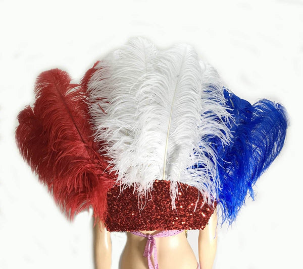 Espalda de plumas de avestruz estilo majestuoso abierto en azul, blanco y rojo.
