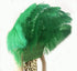 Espaldera verde abierta de plumas de avestruz estilo majestuoso.