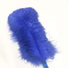 Ventilador de pena de avestruz azul royal de 2 camadas XL 34&#39;&#39;x 60&#39;&#39; com bolsa de couro de viagem.
