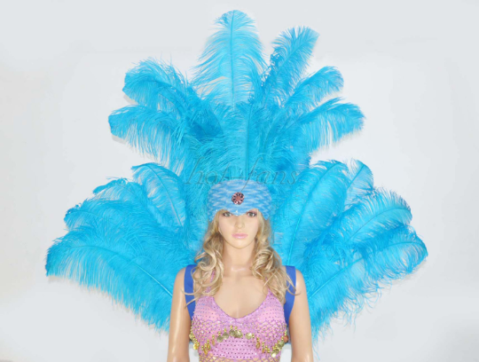 Turquoise Ostrich Feather Open Face Headdress & backpiece Set.