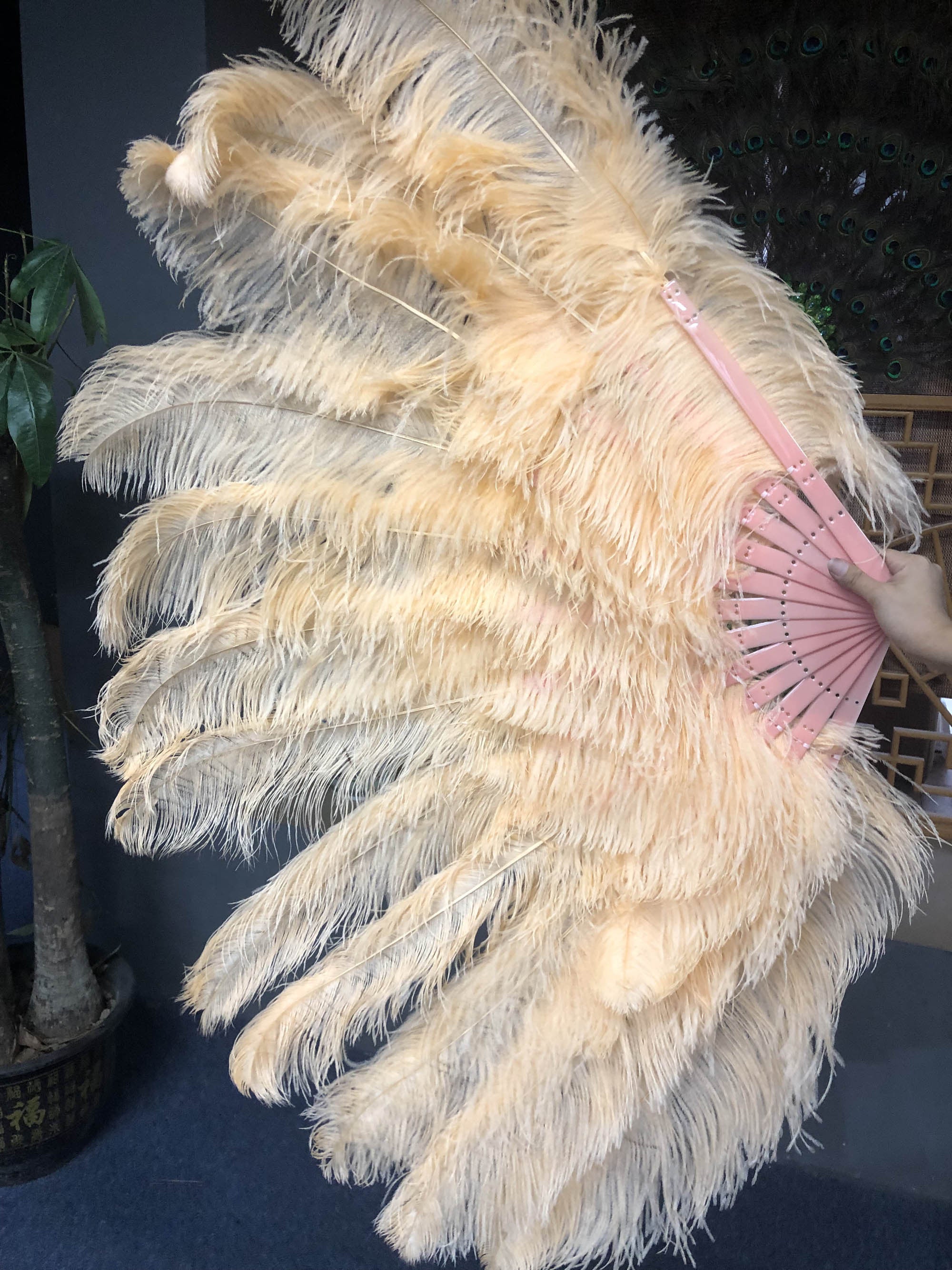 XL 2 Layers apricot Ostrich Feather Fan 34''x 60'' with Travel leather Bag.