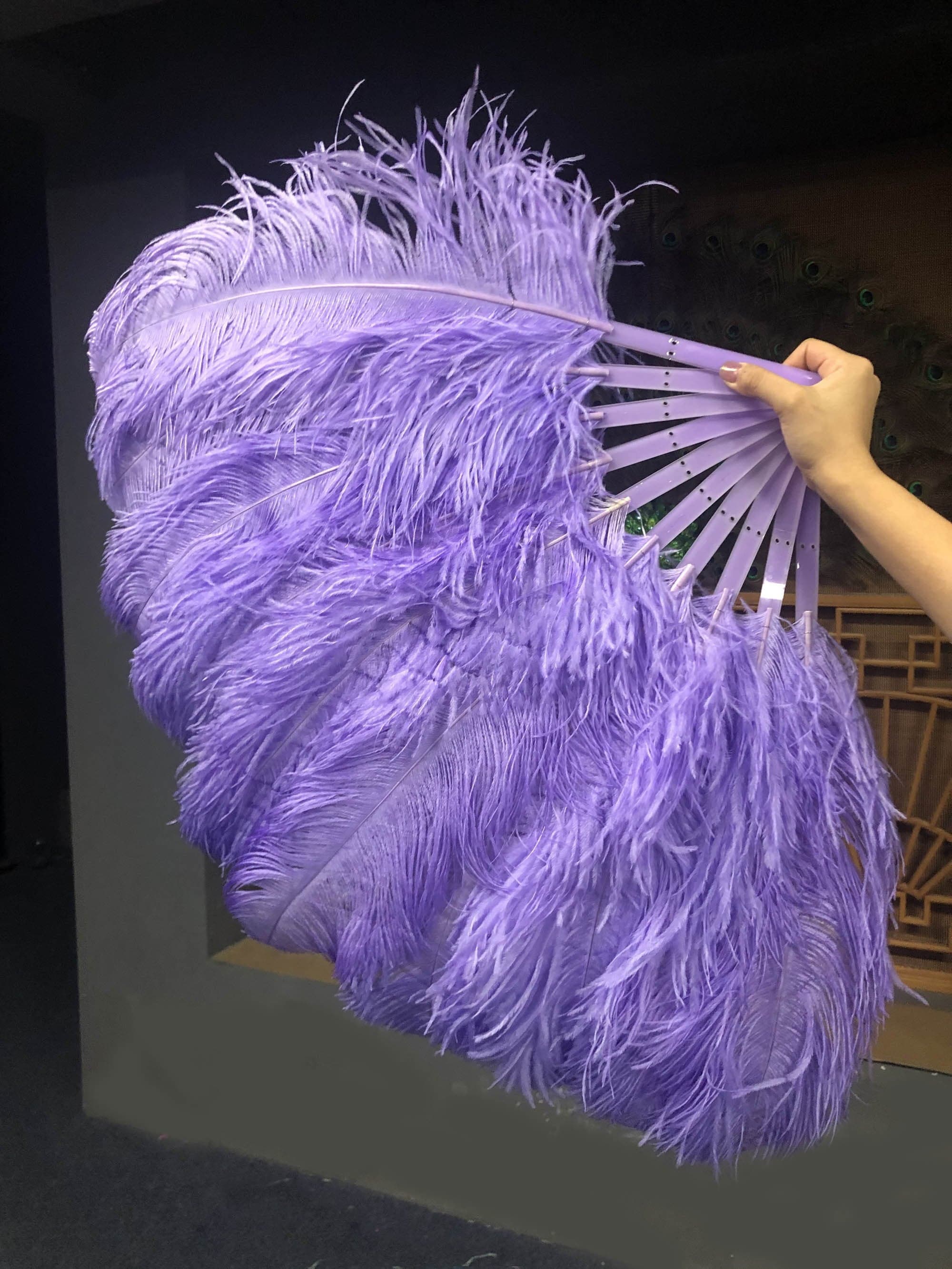 A pair Single layer aqua violet Beginner’s Ostrich Feather Fan - hotfans