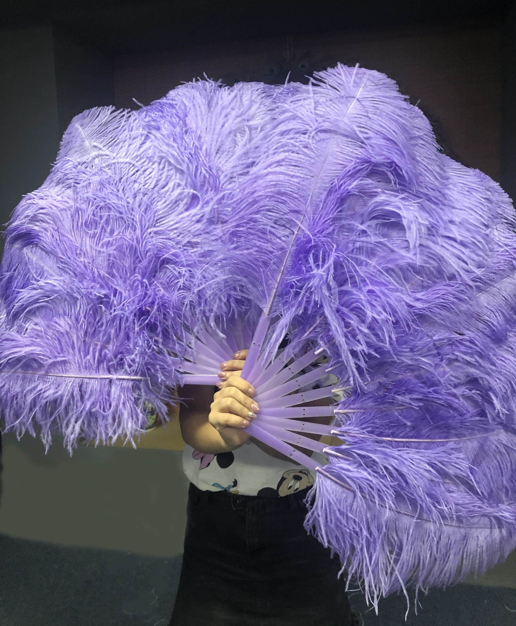 A pair Single layer aqua violet Beginner’s Ostrich Feather Fan - hotfans