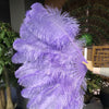 Leque de pena de avestruz violeta água de 2 camadas 30&quot; x 54&quot; com bolsa de viagem de couro.