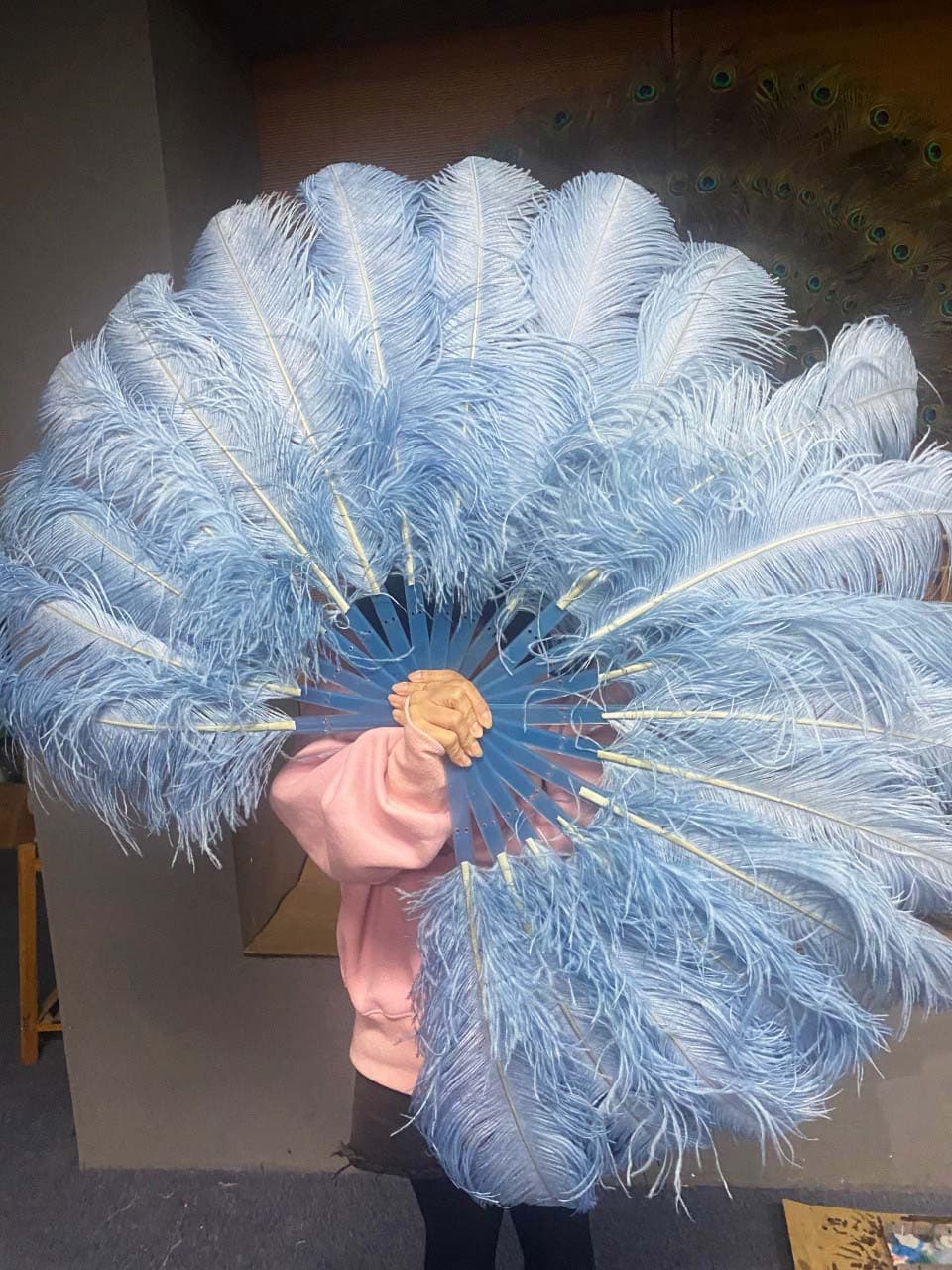 A pair baby blue Single layer Ostrich Feather fan 24"x 41" with leather travel Bag.