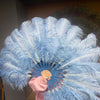 Un par de abanicos de plumas de avestruz de una sola capa de color azul bebé de 24&quot;x 41&quot; con bolsa de viaje de cuero.