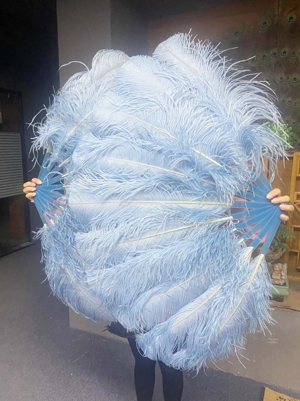 A pair baby blue Single layer Ostrich Feather fan 24"x 41" with leather travel Bag.