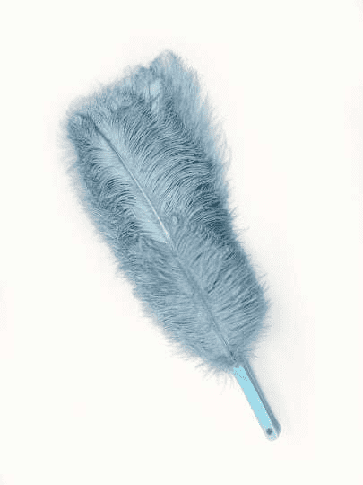 2 layers baby blue Ostrich Feather Fan 30