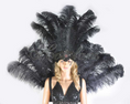 Load image into Gallery viewer, Black Ostrich Feather Open Face Headdress & backpiece Set.
