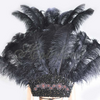 Conjunto de tocado y pieza posterior de cara abierta de plumas de avestruz negras.