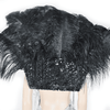 Espalda de plumas de avestruz estilo majestuoso abierto en negro.