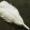 Abanico de plumas de avestruz beige de 2 capas de 30 "x 54" con bolsa de viaje de cuero.