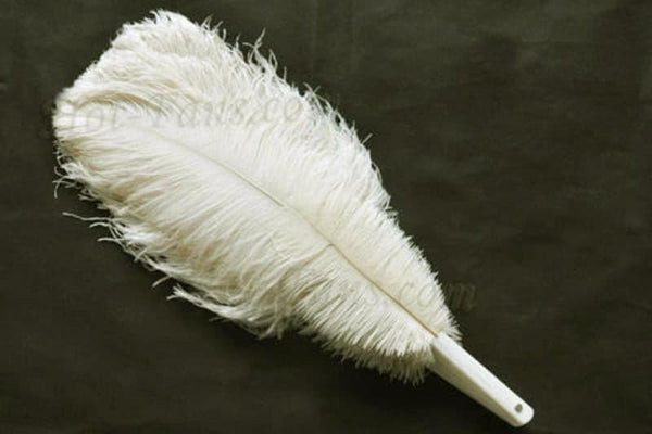 Abanico de plumas de avestruz beige 2 capas 30