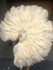 XL 2 Layers beige Ostrich Feather Fan 34''x 60'' with Travel leather Bag.