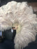Abanico de plumas de avestruz beige camello de 2 capas de 30 "x 54" con bolsa de viaje de cuero.