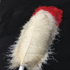 Abanico de plumas de avestruz de 2 capas con punta beige teñida en rojo XL, 34&#39;&#39;x 60&#39;&#39; con bolsa de viaje de cuero.