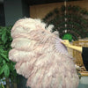 Abanico de plumas de avestruz de madera beige de 2 capas de 30 "x 54" con bolsa de viaje de cuero.