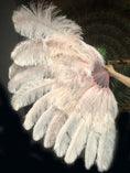 Load image into Gallery viewer, XL 2 Layers blush Ostrich Feather Fan 34''x 60'' with Travel leather Bag.
