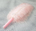 Load image into Gallery viewer, blush single layer Ostrich Feather Fan with leather travel Bag 25"x 45".
