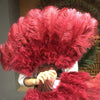 Abanico de pluma de avestruz marabú burdeos 21 "x 38" con bolsa de viaje de cuero.