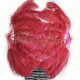 Load image into Gallery viewer, A pair burgundy Single layer Ostrich Feather fan 24"x 41" with leather travel Bag.
