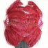 A pair burgundy Single layer Ostrich Feather fan 24"x 41" with leather travel Bag.