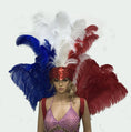 Load image into Gallery viewer, Blue & white & red Ostrich Feather Open Face Headdress & backpiece Set.
