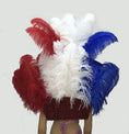 Load image into Gallery viewer, Blue & white & red Ostrich Feather Open Face Headdress & backpiece Set.
