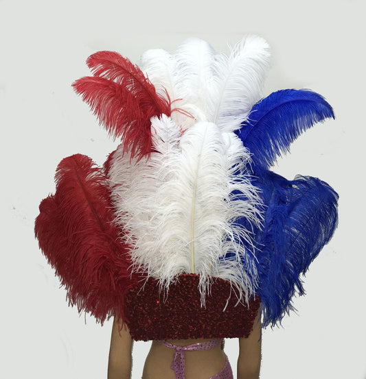 Blue & white & red Ostrich Feather Open Face Headdress & backpiece Set.