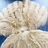 Abanico de Plumas de Avestruz XL 2 Capas beige camel 34&#39;&#39;x 60&#39;&#39; con Bolsa de Viaje de piel.