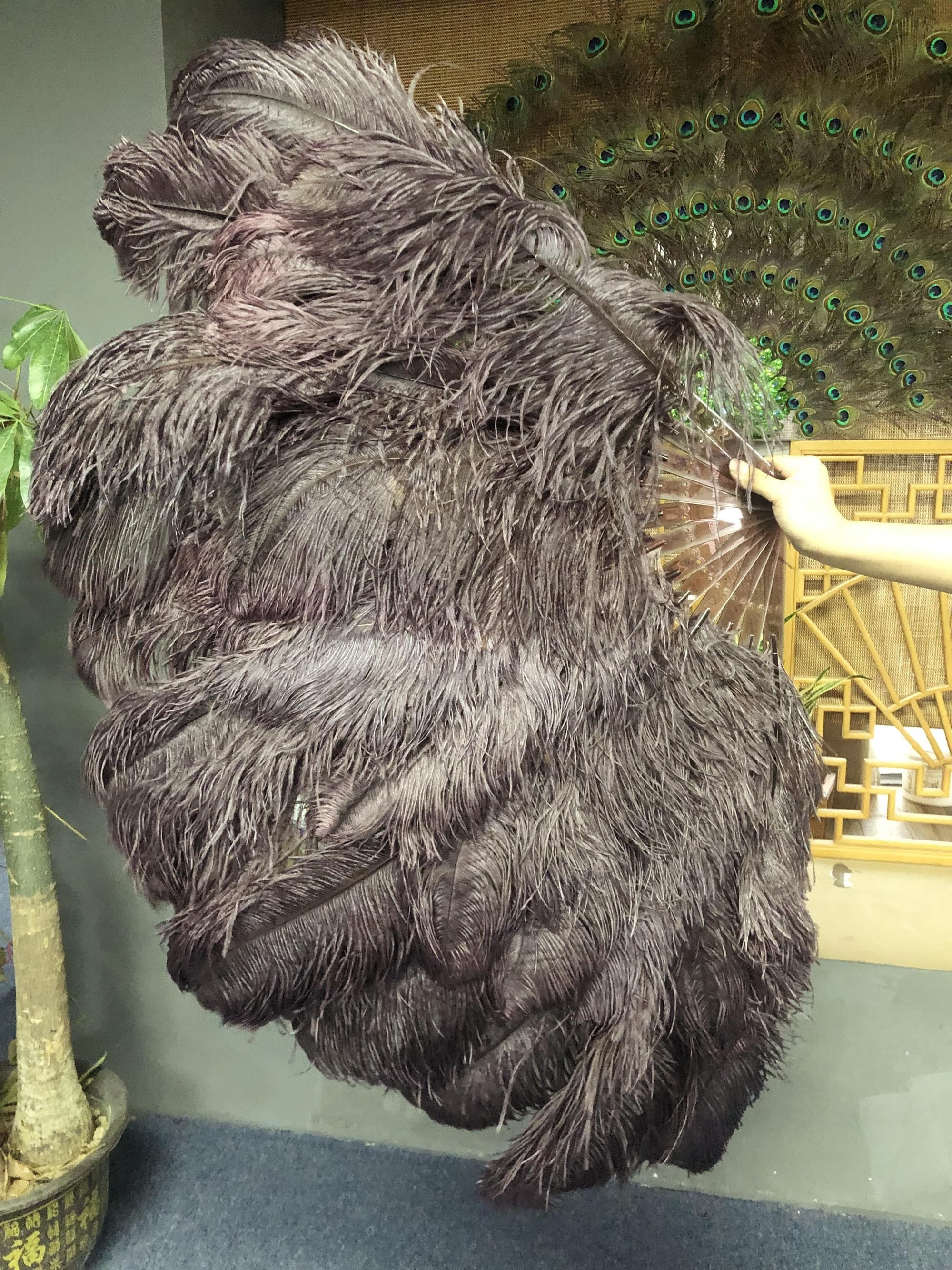 Coffee 3 Layers Ostrich Feather Fan Opened 65" with Travel leather Bag.