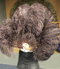 Load image into Gallery viewer, A pair coffee Single layer Ostrich Feather fan 24"x 41" with leather travel Bag.
