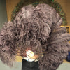 A pair coffee Single layer Ostrich Feather fan 24"x 41" with leather travel Bag.