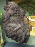 Load image into Gallery viewer, XL 2 Layers coffee Ostrich Feather Fan 34''x 60'' with Travel leather Bag.
