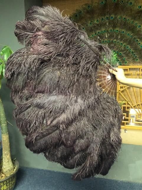 Abanico XL de 2 capas de plumas de avestruz café 34''x 60 '' con bolsa de viaje de cuero.