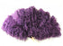 products/dark_purple1_006a4bf5-70f1-447b-9d3d-7360f2a1488e.jpg
